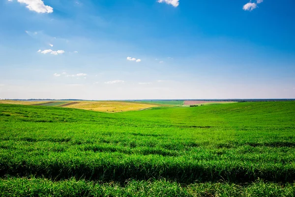 Platteland Landschap Met Landelijke Veld Blauwe Hemel Zonnige Dag — Stockfoto