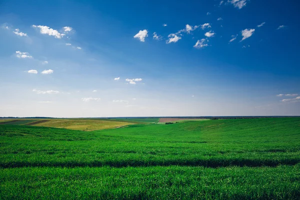 Yeşil alan ve mavi gökyüzü güneşli