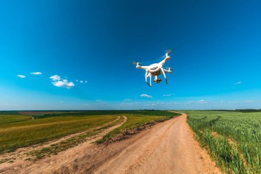 Beyaz dron quadrocopter yeşil mısır sahada