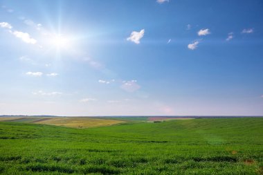 Doğal görünümü mavi gökyüzü ve yeşil alan