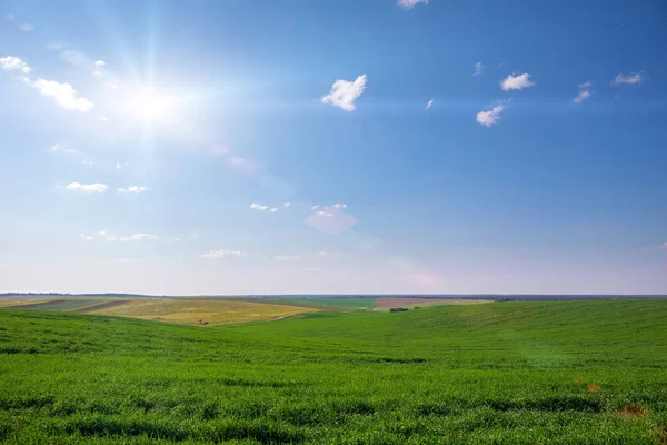Malerischer Blick Auf Grünes Feld Und Blauen Himmel — Stockfoto