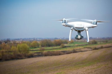 Dron kuad helikopteri yeşil mısır tarlasında