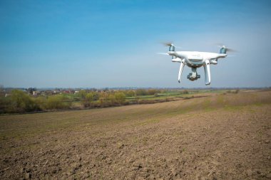 Dron kuad helikopteri yeşil mısır tarlasında