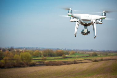 Dron kuad helikopteri yeşil mısır tarlasında