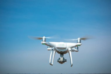 Dron kuad helikopteri yeşil mısır tarlasında