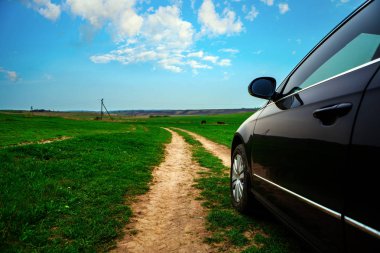 ayçiçeği ve güneş ışığı ile buğday alanında toprak yolda araba