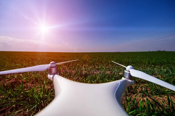 Dron kuad helikopteri yeşil mısır tarlasında