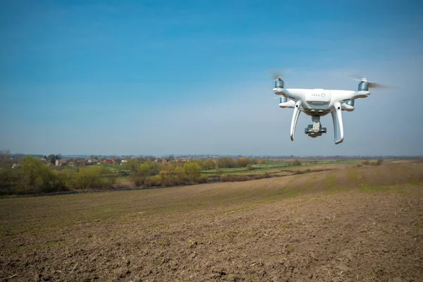 Dron kuad helikopteri yeşil mısır tarlasında