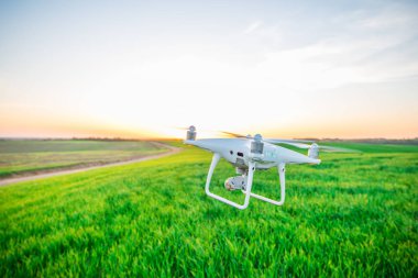 Yeşil mısır tarlasında İHA kuadkopteri