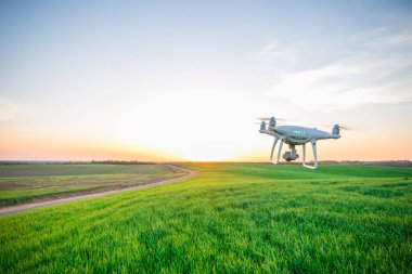 Yeşil mısır tarlasında İHA kuadkopteri