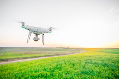 Yeşil mısır tarlasında İHA kuadkopteri