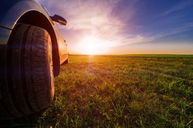 yeşil buğday alanında günbatımı sırasında siyah araba