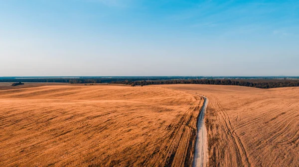 Campo Amarillo Durante Puesta Del Sol Disparo Aéreo Con Dron — Foto de Stock