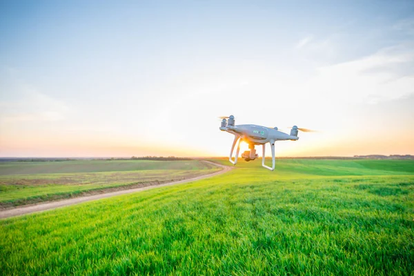 Quadricóptero Drone Campo Milho Verde — Fotografia de Stock