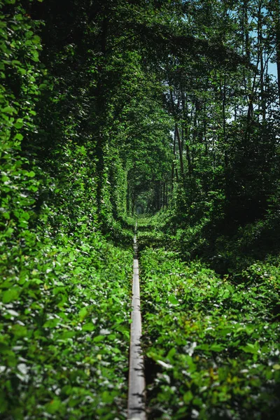 Ferrocarril Túnel Del Bosque Primavera Del Amor — Foto de Stock