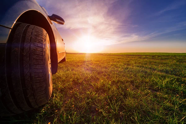 yeşil buğday alanında günbatımı sırasında siyah araba