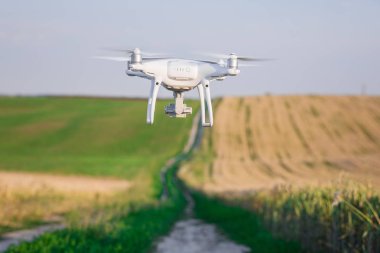 Yeşil mısır tarlasında İHA kuadkopteri