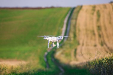 Yeşil mısır tarlasında İHA kuadkopteri