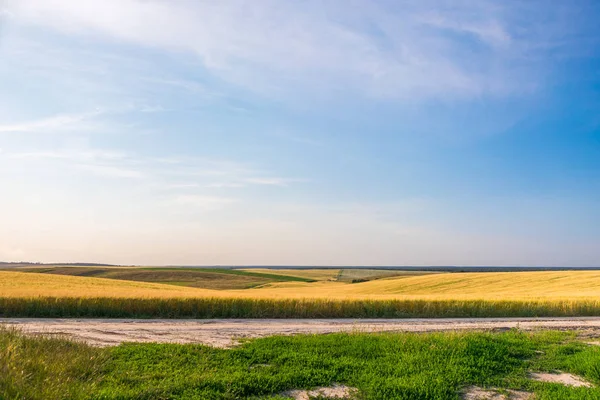 güzel buğday alan ve güzel gün batımı