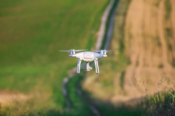 Quadcopter Drone Polu Zielonej Kukurydzy — Zdjęcie stockowe