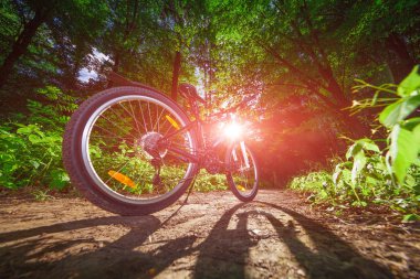 Bisikletle tepeden aşağıya doğru hızla inen dağ bisikleti. Motorcuların gözlerinden bak.