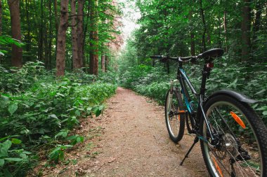 Bisikletle tepeden aşağıya doğru hızla inen dağ bisikleti. Motorcuların gözlerinden bak.