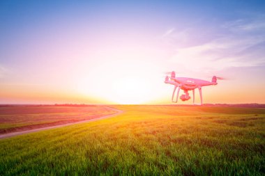 sarı Mısır sahada dron dört helikopter