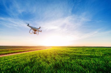 sarı Mısır sahada dron dört helikopter