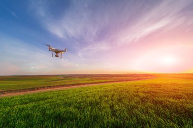 sarı Mısır sahada dron dört helikopter