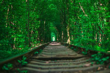 Bahar ormanı aşk tünelinde bir demiryolu.