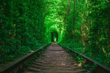 Bahar ormanı aşk tünelinde bir demiryolu.
