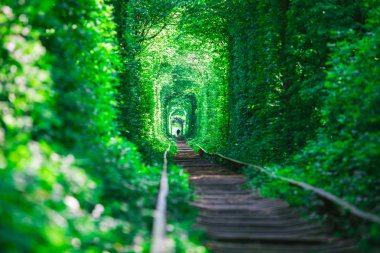 Bahar ormanı aşk tünelinde bir demiryolu.