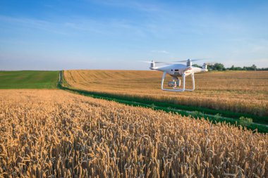 sarı Mısır sahada dron dört helikopter