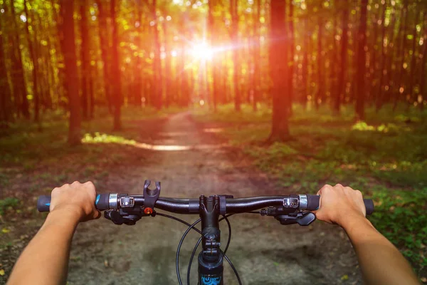 Ciclismo Montaña Colina Abajo Descendiendo Rápido Bicicleta Vista Desde Los — Foto de Stock