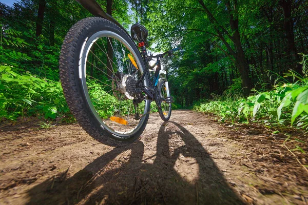 Bisikletle tepeden aşağıya doğru hızla inen dağ bisikleti. Motorcuların gözlerinden bak.