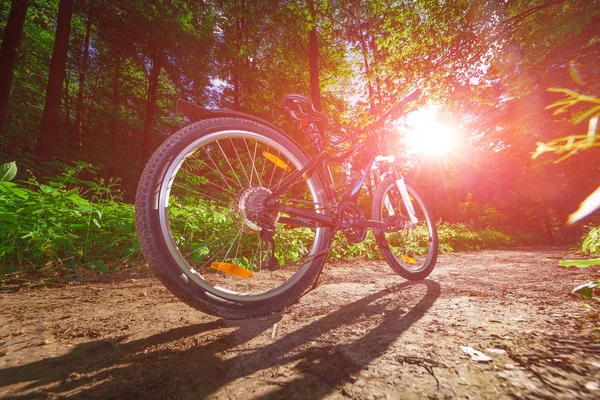 Bisikletle tepeden aşağıya doğru hızla inen dağ bisikleti. Motorcuların gözlerinden bak.