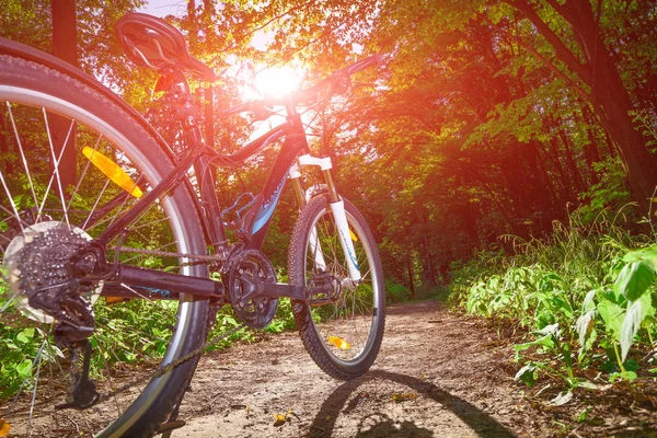 Bisikletle tepeden aşağıya doğru hızla inen dağ bisikleti. Motorcuların gözlerinden bak.