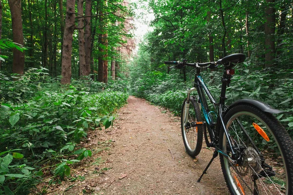 Bisikletle tepeden aşağıya doğru hızla inen dağ bisikleti. Motorcuların gözlerinden bak.