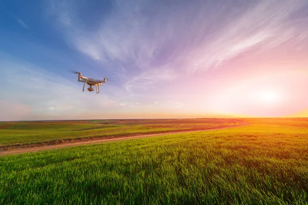 sarı Mısır sahada dron dört helikopter