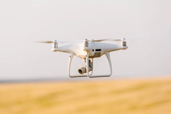 Copter Drone Quad Sur Champ Maïs Jaune — Photo