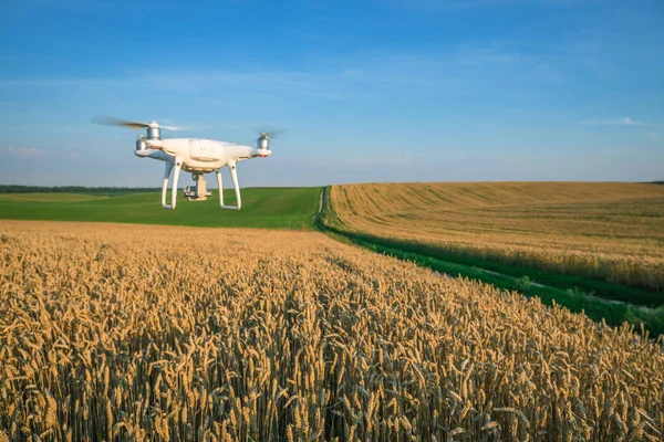 sarı Mısır sahada dron dört helikopter