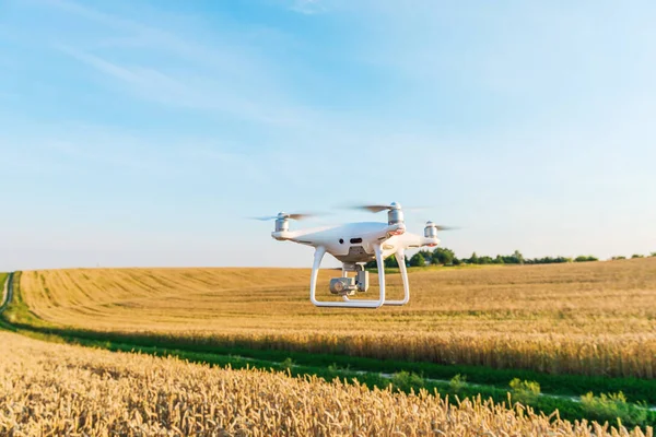 sarı Mısır sahada dron dört helikopter