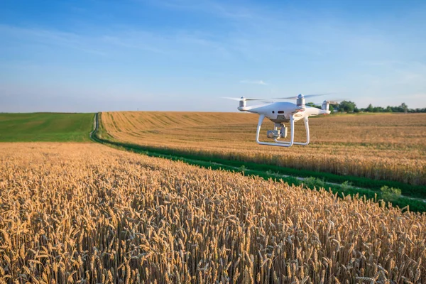 sarı Mısır sahada dron dört helikopter