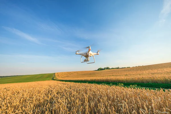 sarı Mısır sahada dron dört helikopter