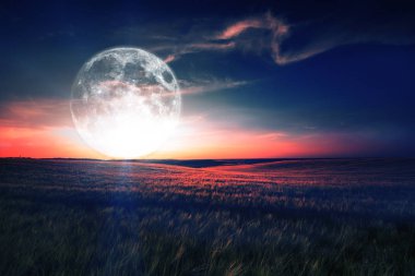 yeşil gece alan. yıldızlı gökyüzü