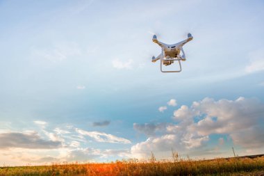 Dron kuad helikopteri yeşil mısır tarlasında