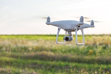 Dron kuad helikopteri yeşil mısır tarlasında