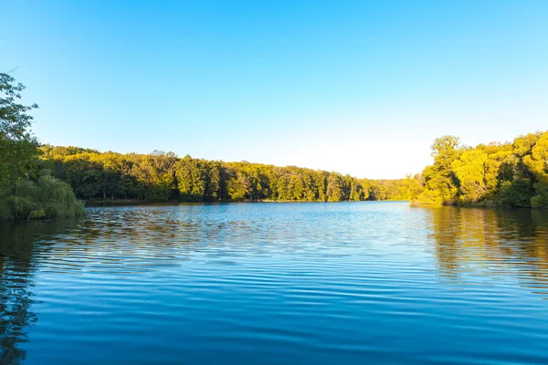 Malerischer Wald Und Der Fluss — Stockfoto