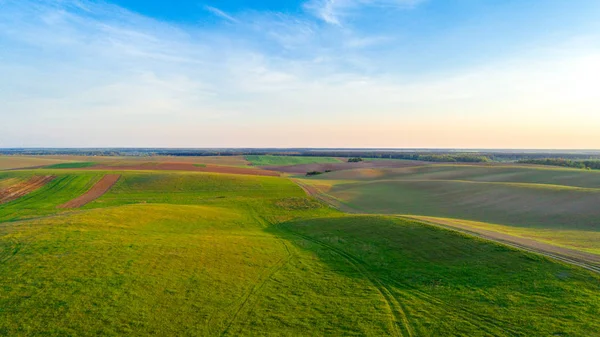 Campo Verde Está Atardecer Disparado Con Dron — Foto de Stock