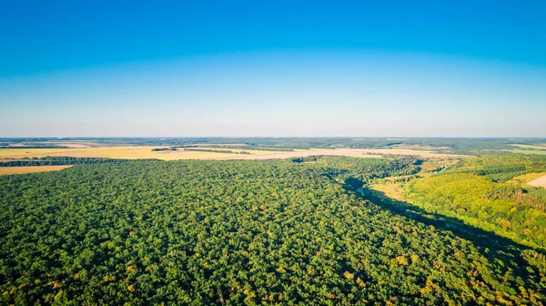Kameralı bir dron, güzel bir yaz nehri yüksekten küçük bir nehir